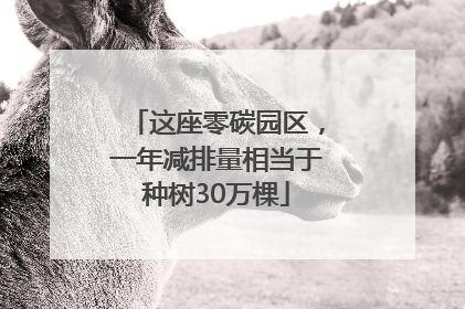 这座零碳园区，一年减排量相当于种树30万棵