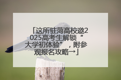 这所驻菏高校邀2025高考生解锁“大学初体验”，附参观报名攻略→