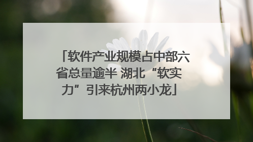 软件产业规模占中部六省总量逾半 湖北“软实力”引来杭州两小龙