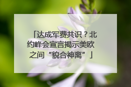 达成军费共识？北约峰会宣言揭示美欧之间“貌合神离”