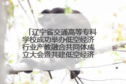 辽宁省交通高等专科学校成功举办低空经济行业产教融合共同体成立大会暨共建低空经济产教融合新生态论坛