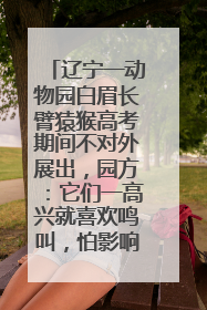 辽宁一动物园白眉长臂猿猴高考期间不对外展出，园方：它们一高兴就喜欢鸣叫，怕影响考试