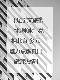 辽宁文旅携“特种冰”亮相北京 多元魅力点燃夏日旅游热情