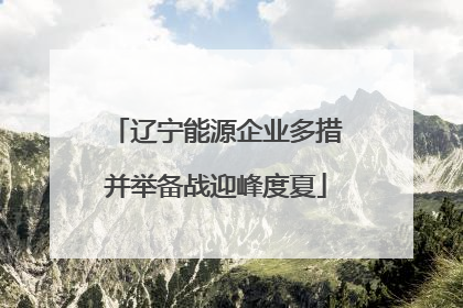 辽宁能源企业多措并举备战迎峰度夏