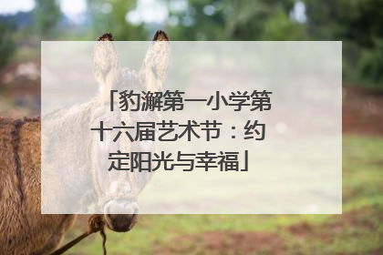 豹澥第一小学第十六届艺术节：约定阳光与幸福