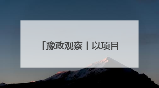 豫政观察丨以项目之进看发展之势