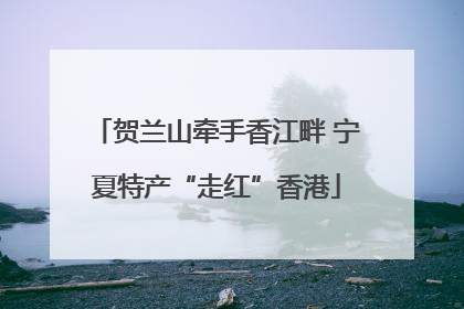 贺兰山牵手香江畔 宁夏特产“走红”香港