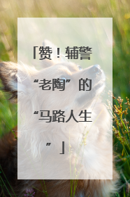 赞！辅警“老陶”的“马路人生”