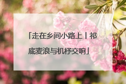 走在乡间小路上丨祁底麦浪与机杼交响