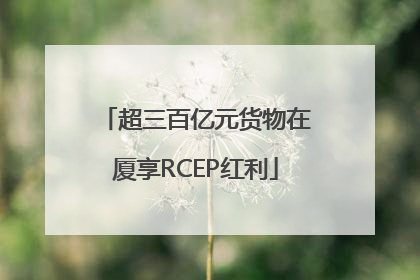 超三百亿元货物在厦享RCEP红利