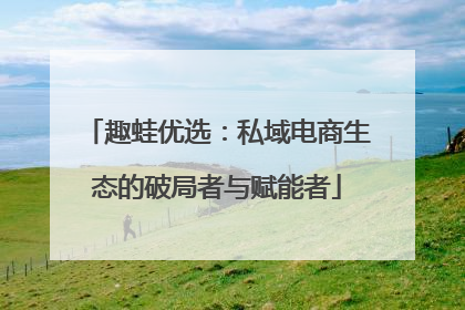 趣蛙优选：私域电商生态的破局者与赋能者