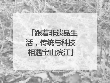 跟着非遗品生活，传统与科技相遇宝山滨江