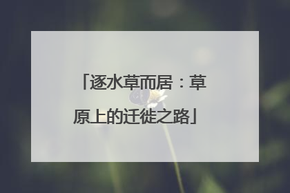 逐水草而居：草原上的迁徙之路