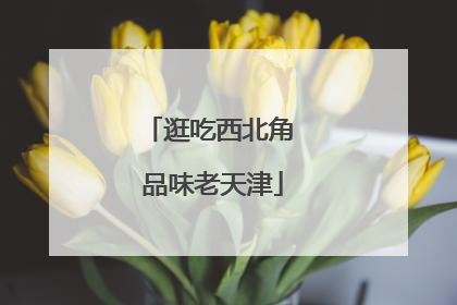 逛吃西北角 品味老天津