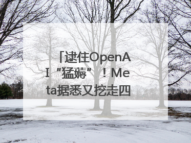 逮住OpenAI“猛薅”！Meta据悉又挖走四位知名研究人员