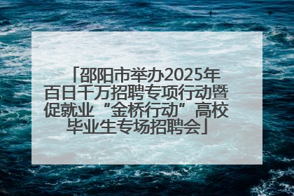 邵阳市举办2025年百日千万招聘专项行动暨促就业“金桥行动”高校毕业生专场招聘会