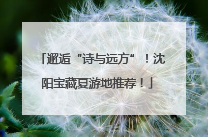 邂逅“诗与远方”！沈阳宝藏夏游地推荐！