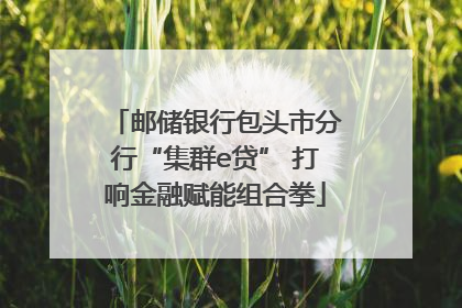 邮储银行包头市分行“集群e贷” 打响金融赋能组合拳