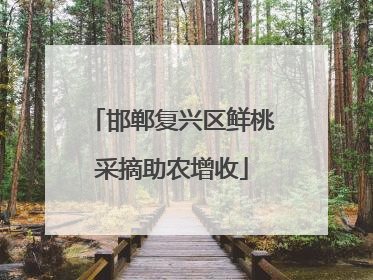 邯郸复兴区鲜桃采摘助农增收