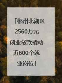 郴州北湖区2560万元创业贷款撬动近600个就业岗位