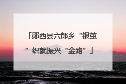 郧西县六郎乡“银茧”织就振兴“金路”