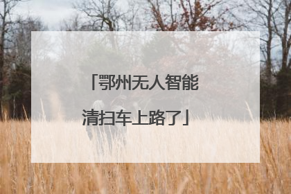 鄂州无人智能清扫车上路了