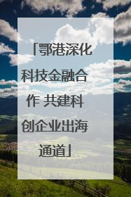 鄂港深化科技金融合作 共建科创企业出海通道