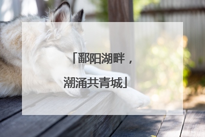 鄱阳湖畔，潮涌共青城
