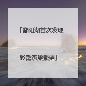 鄱阳湖首次发现彩鹮筑巢繁殖