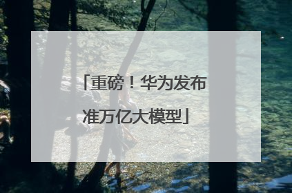 重磅！华为发布准万亿大模型