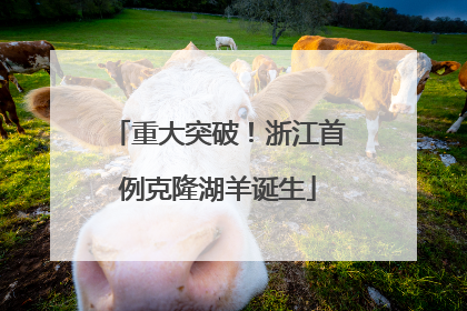 重大突破！浙江首例克隆湖羊诞生