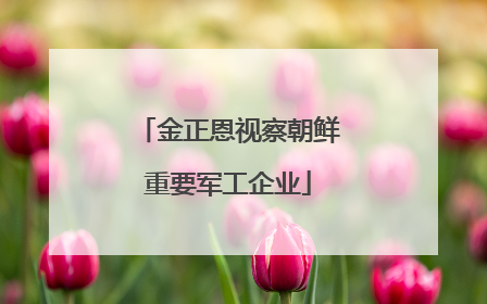 金正恩视察朝鲜重要军工企业