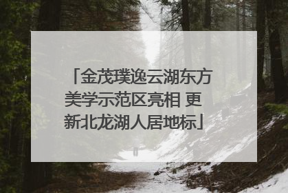 金茂璞逸云湖东方美学示范区亮相 更新北龙湖人居地标