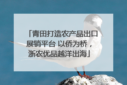 青田打造农产品出口展销平台 以侨为桥，浙农优品越洋出海