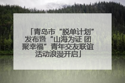 青岛市“脱单计划”发布暨“山海为证 团聚幸福”青年交友联谊活动浪漫开启