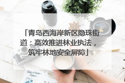 青岛西海岸新区隐珠街道：高效推进林业执法，筑牢林地安全屏障