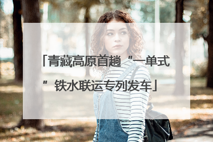青藏高原首趟“一单式”铁水联运专列发车