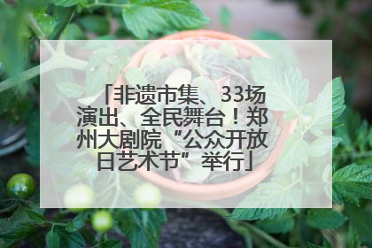 非遗市集、33场演出、全民舞台！郑州大剧院“公众开放日艺术节”举行