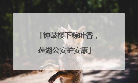 钟鼓楼下粽叶香，莲湖公安护安康