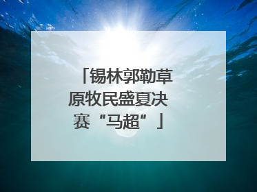 锡林郭勒草原牧民盛夏决赛“马超”