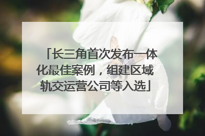 长三角首次发布一体化最佳案例，组建区域轨交运营公司等入选