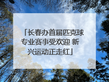 长春办首届匹克球专业赛事受欢迎 新兴运动正走红