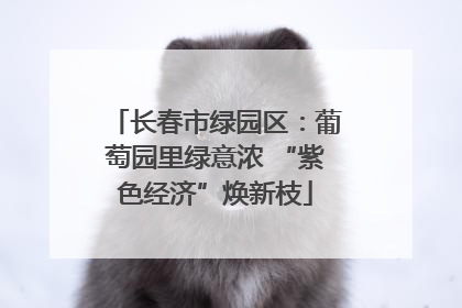长春市绿园区：葡萄园里绿意浓 “紫色经济”焕新枝