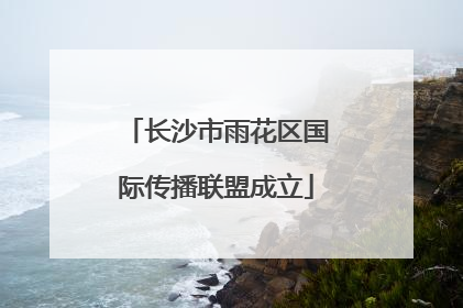 长沙市雨花区国际传播联盟成立