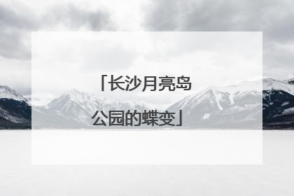 长沙月亮岛公园的蝶变