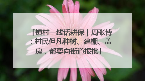 镇村一线话耕保｜周张博：村民但凡种树、建棚、盖房，都要向街道报批