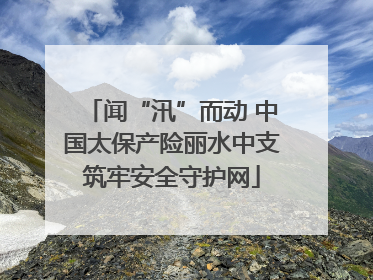 闻“汛”而动 中国太保产险丽水中支筑牢安全守护网