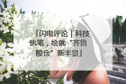 闪电评论｜科技执笔，绘就“齐鲁粮仓”新丰景