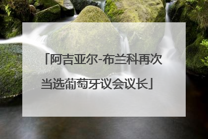 阿吉亚尔-布兰科再次当选葡萄牙议会议长