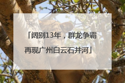 阔别13年，群龙争霸再现广州白云石井河